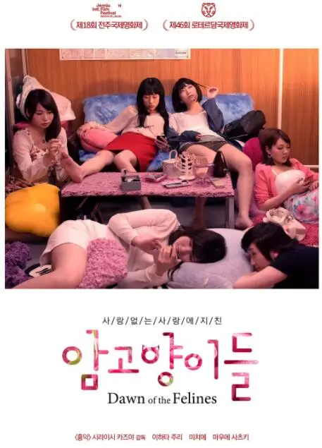 《雌猫们》：废墟之上，女性力量觉醒！一场末日求生的残酷童话