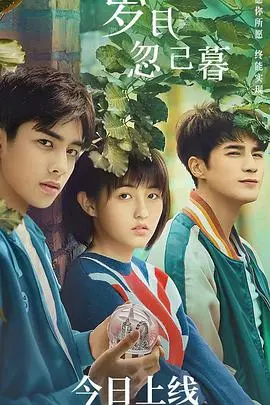 《岁月忽已暮》：留美学霸的爱情长跑，时间煮雨，青春不散场？