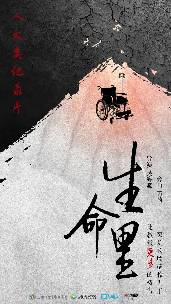 《生命里》：一场触及灵魂的寻根之旅，人生哲思的温暖低语