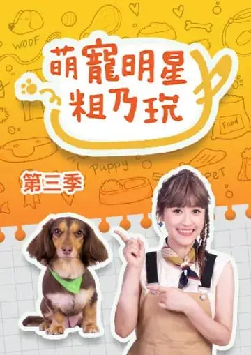 《萌宠明星粗乃玩 第三季》：毛茸茸的治愈之旅，笑点与温情齐飞的萌宠欢乐颂！
